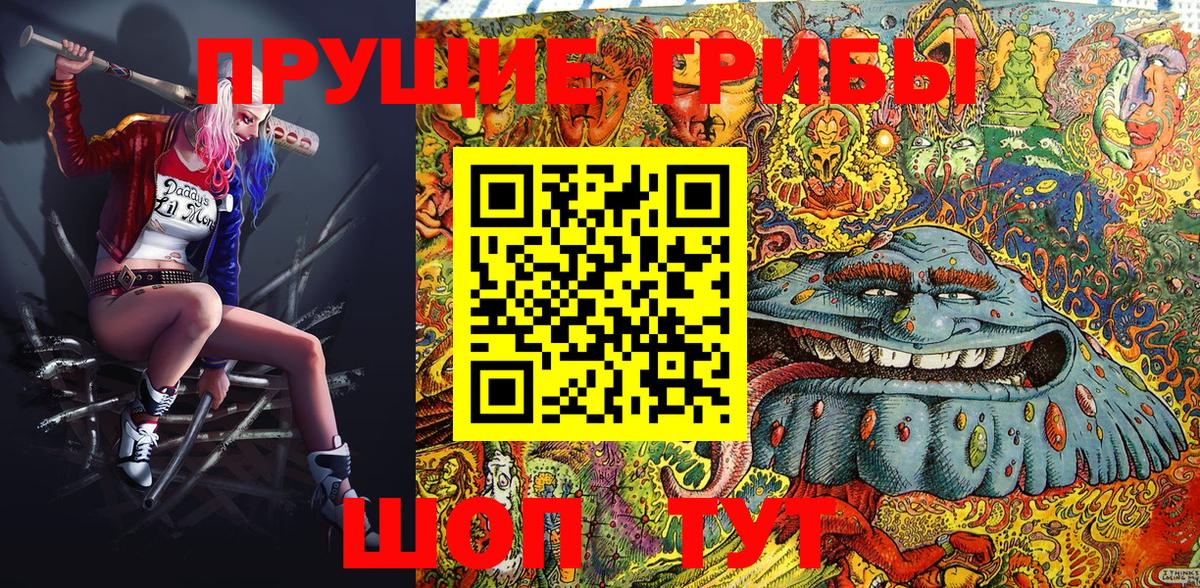 Вятские Поляны  Псилоцибиновые грибы Cubensis  Псилоцибиновые грибы MAGIC MUSHROOMS  Вход с VPN 